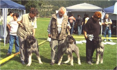 Geschwister