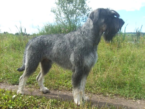 Gero 3,5 Jahre alt