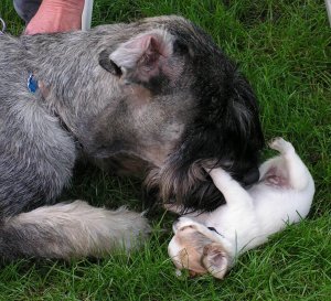 Gero und Sissi